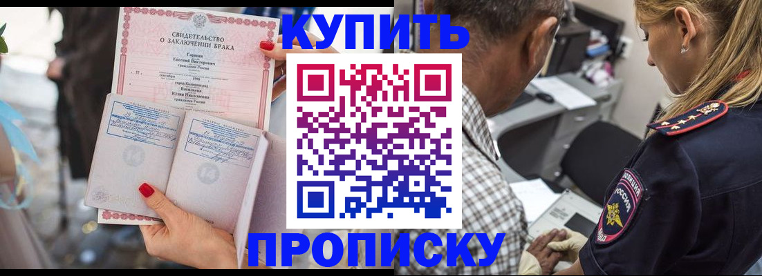 прописка законно в Борзе