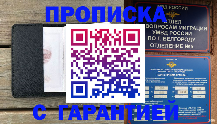 купить прописку в Борзе